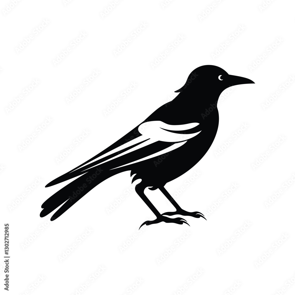 Obraz premium Magpie Bird vector silhouette Illustration