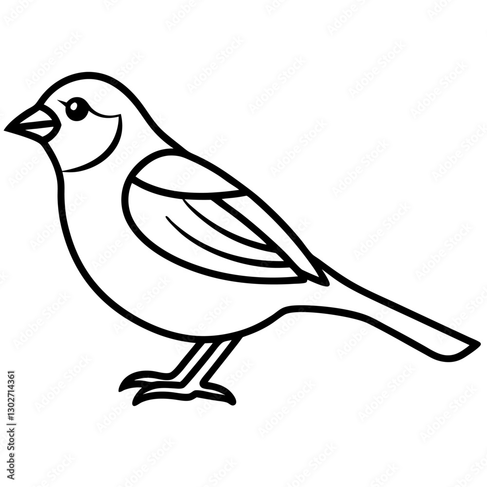 Fototapeta premium Sparrow line art vector on white background.