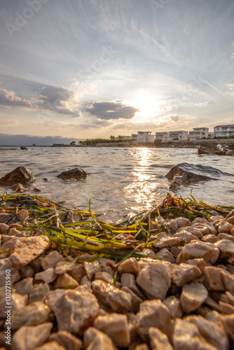 Fototapeta Naklejka Na Ścianę i Meble -  Bay with a small harbor, in the morning. Beautiful sunrise on the Mediterranean Sea. Mediterranean coast and landscape Beach Plaža Lozice on the island of Vir, Zadar, Dalmatia, Adriatic Sea, Croatia