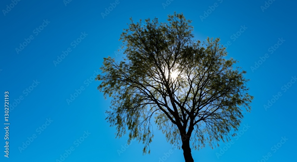 Serene Silhouette: Tree against a bright blue sky offering a calming presence Serene Silhouette: Tree against a bright blue sky offering a calming presence