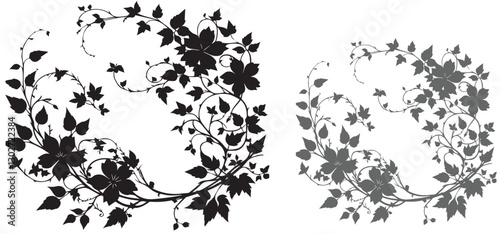 black silhouettes of flowering vines isolated on a white background vector. Black and white Floral Scroll design elements. vector illustration of flowers and leaf