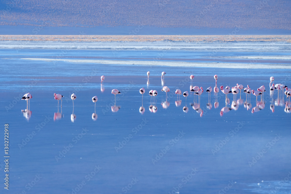 Naklejka premium Pink flamingos at exciting lagona colorada scenery in Bolivia, South America