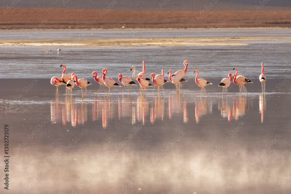 Naklejka premium Pink flamingos at exciting lagona colorada scenery in Bolivia, South America