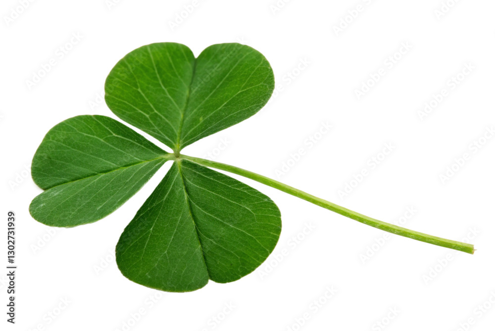 Obraz premium Green leaf clover isolated on transparent background Generative Ai