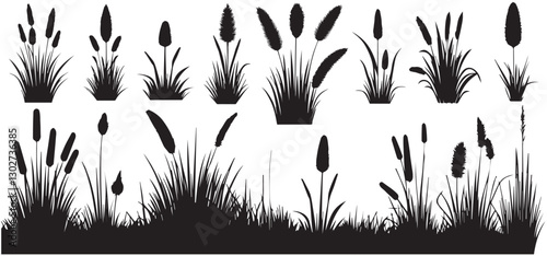 Grass silhouette, Wild Grass,  Grass elements set collection vector illustration