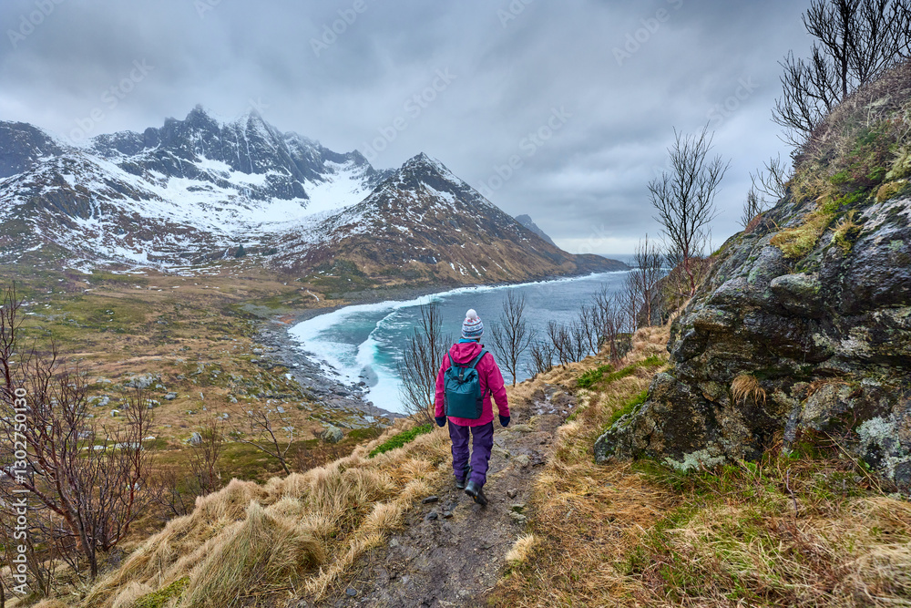 Fototapeta premium active woman hiking in fall in the mountain an sea landscape of the Meford above Mefjordvaer on Senja Island in northern Norway