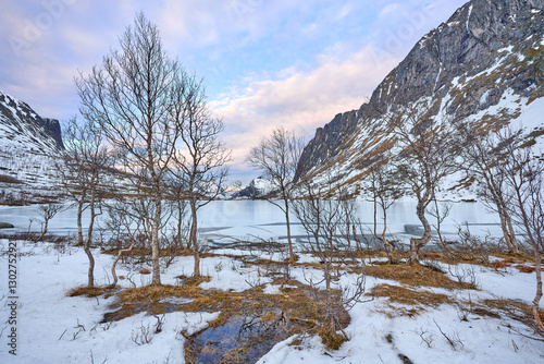 wintry fjord and mountain l...