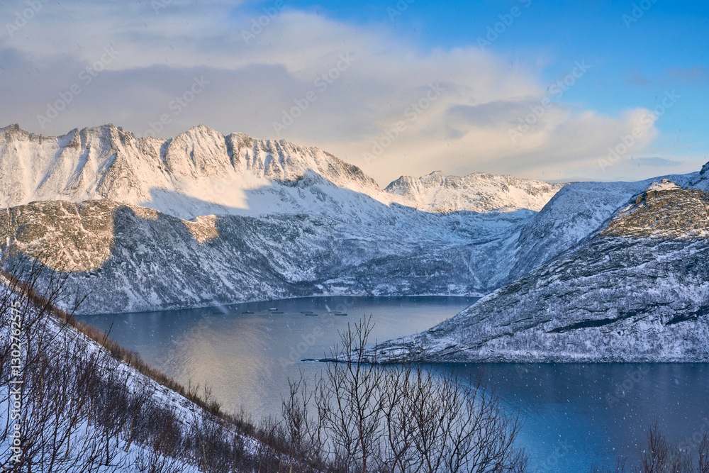 Obraz premium awesome landscape above the wintry village of Fjordgard and the snowcovered steep mountains at the Oeyfjord on the Island of Senja in Northern Norway