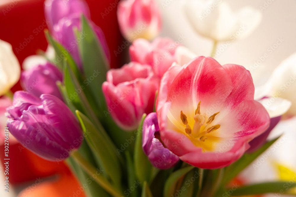 close up of multicolored tulips in a vase close up of multicolored tulips in a vase