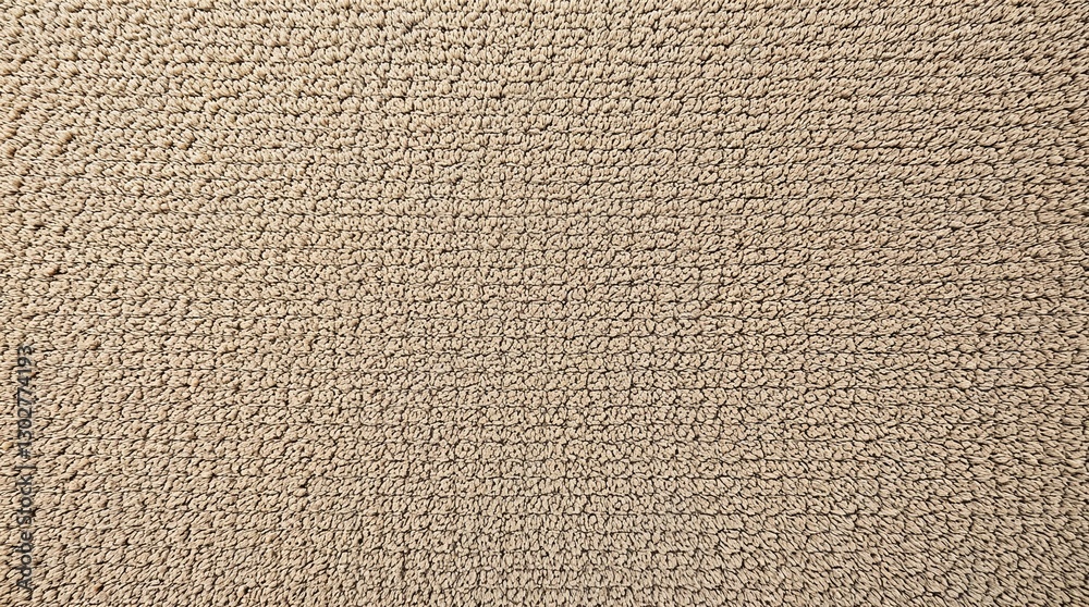 Light Brown Nubby Texture Carpet, Overhead Shot of Woven Rug with Irregular Loops and Coarse, Cozy Surface Texture Ideal for Rustic Home Decor Light Brown Nubby Texture Carpet, Overhead Shot of Woven Rug with Irregular Loops and Coarse, Cozy Surface Texture Ideal for Rustic Home Decor