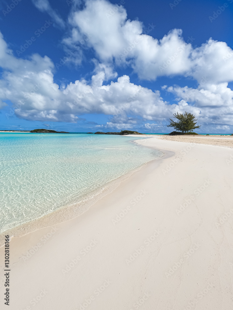 Une plage de sable blanc tropicale aux Bahamas au format vertical. Une plage de sable blanc tropicale aux Bahamas au format vertical.