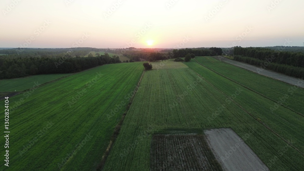 Autumn trees and farmland aerial view Autumn trees and farmland aerial view