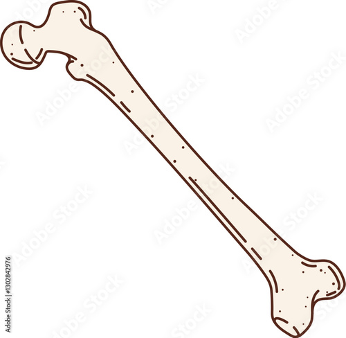 Cartoon groovy human femur bone, human body anatomical representation highlights bone structure. Isolated vector skeletal part used in medical, educational, and skeletal system studies