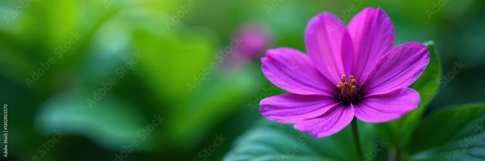 Close-up, rich purple petals, blurred green leaves, design, spring, close up Close-up, rich purple petals, blurred green leaves, design, spring, close up