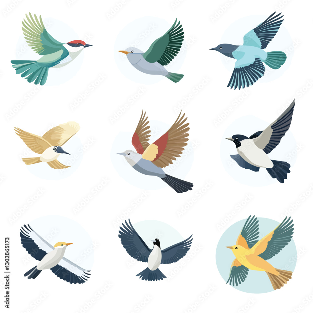 Illustrated assorted birds in flight on white background isolated flat lay Illustrated assorted birds in flight on white background isolated flat lay