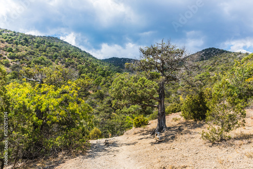 Views from the tourist mountain trail to Peak Cosmos on the Karaul-Oba mountain range on the Black Sea coast near the Golitsyn trail near  the village of Novy Svet, Crimea, Russia.