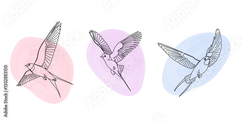 A series of graceful swallows in flight. This spring bird collection showcases a linear artistic style with watercolor accents, isolated on a clean white backdrop