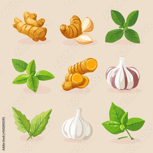 Ginger, turmeric, garlic, and basil herbs for cooking, illustrated