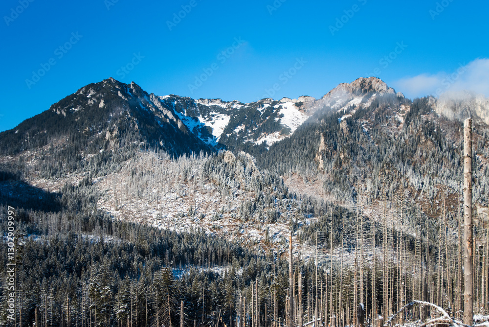 View from the snowy path winding through the Kościeliska Valley, surrounded by trees blanketed with fresh snow. View from the snowy path winding through the Kościeliska Valley, surrounded by trees blanketed with fresh snow.