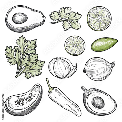 Hand-drawn sketch of fresh guacamole ingredients: avocado, lime, cilantro