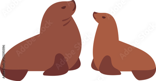 Male and female South American (Patagonian) sea lion, or Lobo Marino. Flat cartoon vector style illustration.
