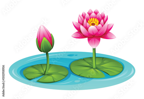Two pink water lilies in bloom on a pond, one open and one budding, with lily pads. Vector cartoon illustration