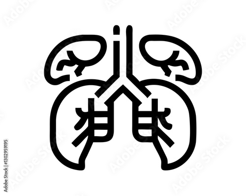 Illustration of human respiratory and renal systems highlighting lungs and kidneys
