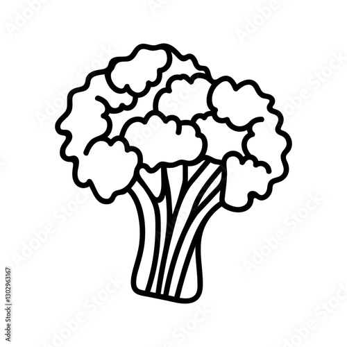 Doodle illustration of broccoli cabbage. Hand drawn garden vegetables for healthy menu