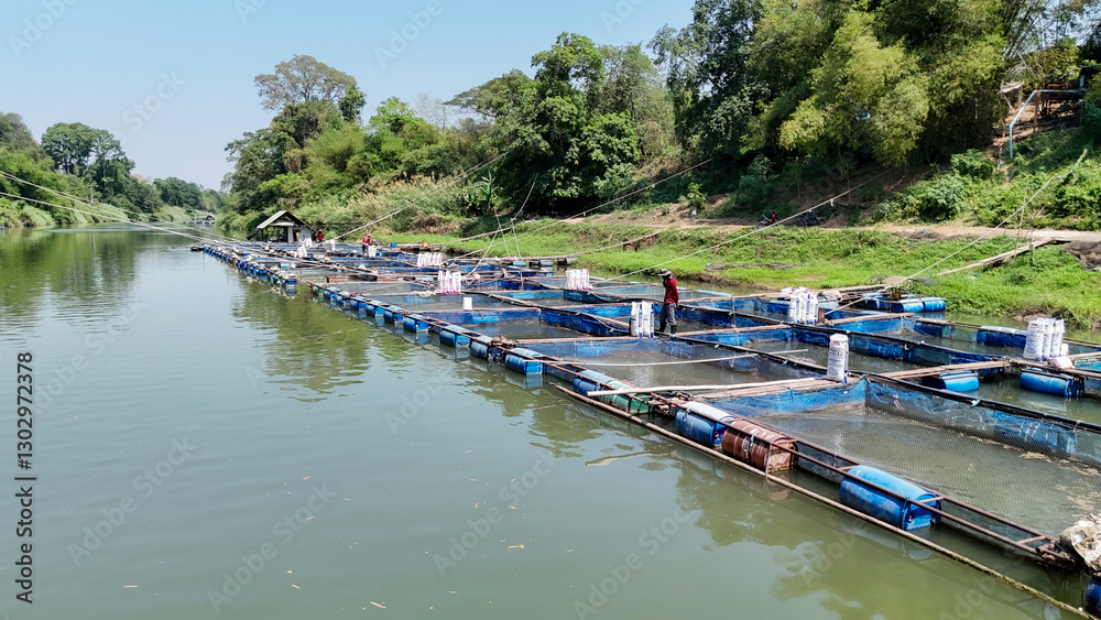 Fototapeta premium Aquaculture, Bay of Water, Blue, Business, Catch of Fish