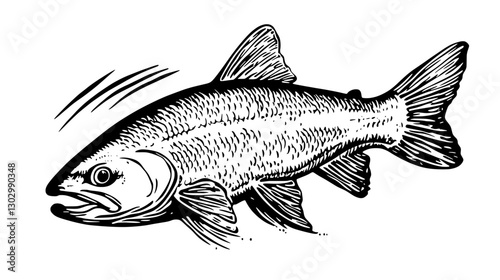 Engraved illustration of a fish jumping out of water showcasing intricate details and dynamic movement