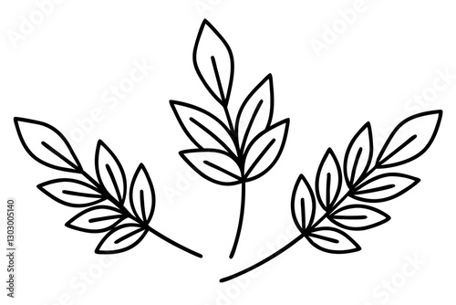 Botanical Herb and Leaf Line Art Illustration for Culinary Design

