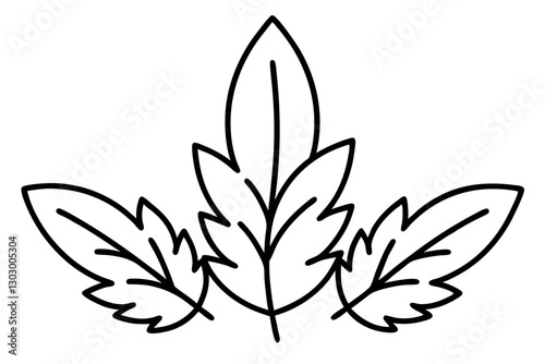 Botanical Herb and Leaf Line Art Illustration for Culinary Design

