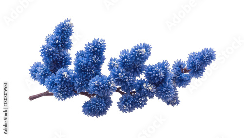 Blue Flowers on transparant Background