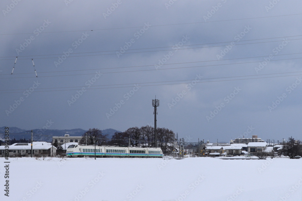 Fototapeta premium 雪原を疾走するE653系電車上沼垂色_特急「しらゆき」_2024/2/9撮影