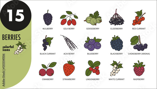 Colorful berries thin line icons. Raspberry, strawberry, cranberry, gooseberry, currant, blueberry, blackberry, mulberry, goji berry, elderberry, acai berry, aronia, vector illustration