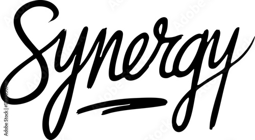 Stylized vector text 'Synergy' in elegant handwritten script; ideal for branding and creative projects.