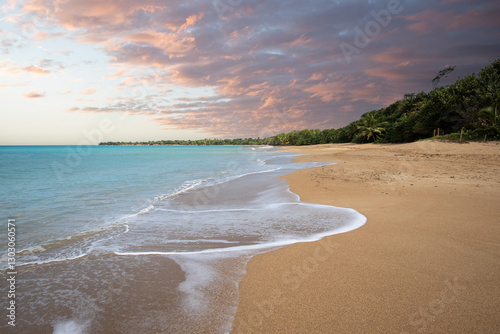 Fototapeta Naklejka Na Ścianę i Meble -  Deserted wide sandy beach with turquoise blue sea. Tropical plants of a bay at sunset in the Caribbean. Plage de Cluny, Basse Terre, Guadeloupe, French Antille