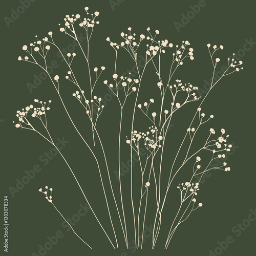 elegant illustration of Showy baby's-breath flower