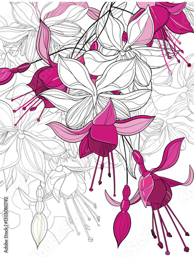 elegant illustration of gibbon flowers line art