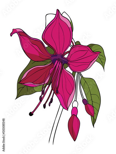 elegant illustration of gibbon flowers line art