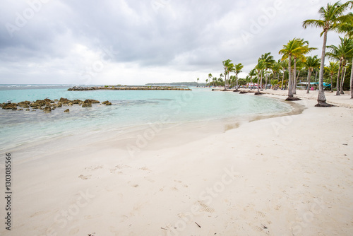 Fototapeta Naklejka Na Ścianę i Meble -  Romantic Caribbean sandy beach with palm trees, turquoise sea. Morning landscape shot at sunrise at Plage de Bois Jolan, Guadeloupe, French Antilles

