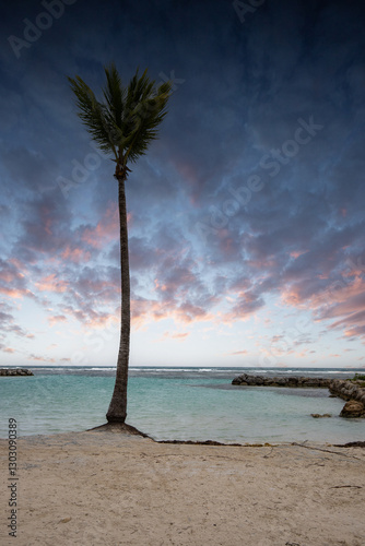 Fototapeta Naklejka Na Ścianę i Meble -  Romantic Caribbean sandy beach with palm trees, turquoise sea. Morning landscape shot at sunrise at Plage de Bois Jolan, Guadeloupe, French Antilles
