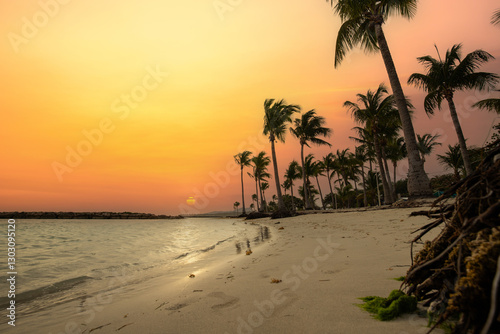 Fototapeta Naklejka Na Ścianę i Meble -  Romantic Caribbean sandy beach with palm trees, turquoise sea. Morning landscape shot at sunrise at Plage de Bois Jolan, Guadeloupe, French Antilles