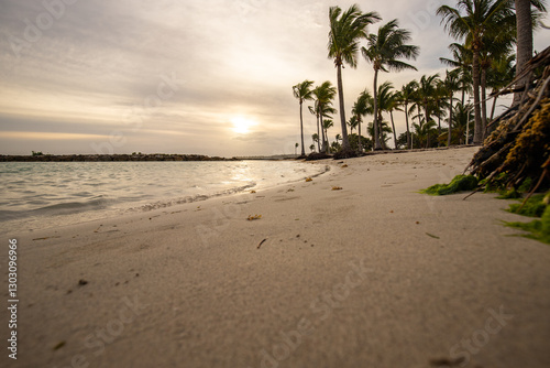 Fototapeta Naklejka Na Ścianę i Meble -  Romantic Caribbean sandy beach with palm trees, turquoise sea. Morning landscape shot at sunrise at Plage de Bois Jolan, Guadeloupe, French Antilles