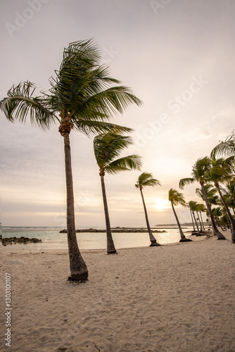 Fototapeta Naklejka Na Ścianę i Meble -  Romantic Caribbean sandy beach with palm trees, turquoise sea. Morning landscape shot at sunrise at Plage de Bois Jolan, Guadeloupe, French Antilles