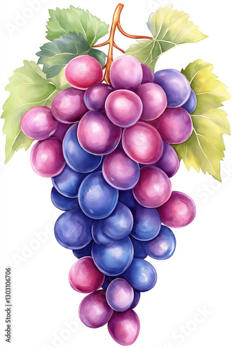 Watercolor painting of ripe red and blue grapes hanging from vine