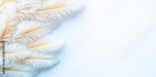 Soft white feathers create delicate texture against light background, evoking sense of calm and elegance. Perfect for various design projects