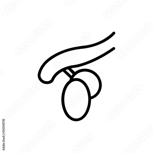 Testicle Icon – Representing Male Reproductive System, Anatomy, and Medical Science