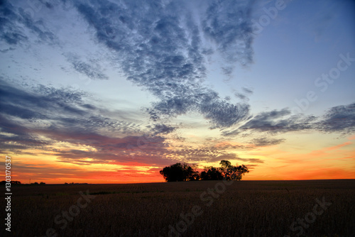 Fototapeta Naklejka Na Ścianę i Meble -  Iowa prairie