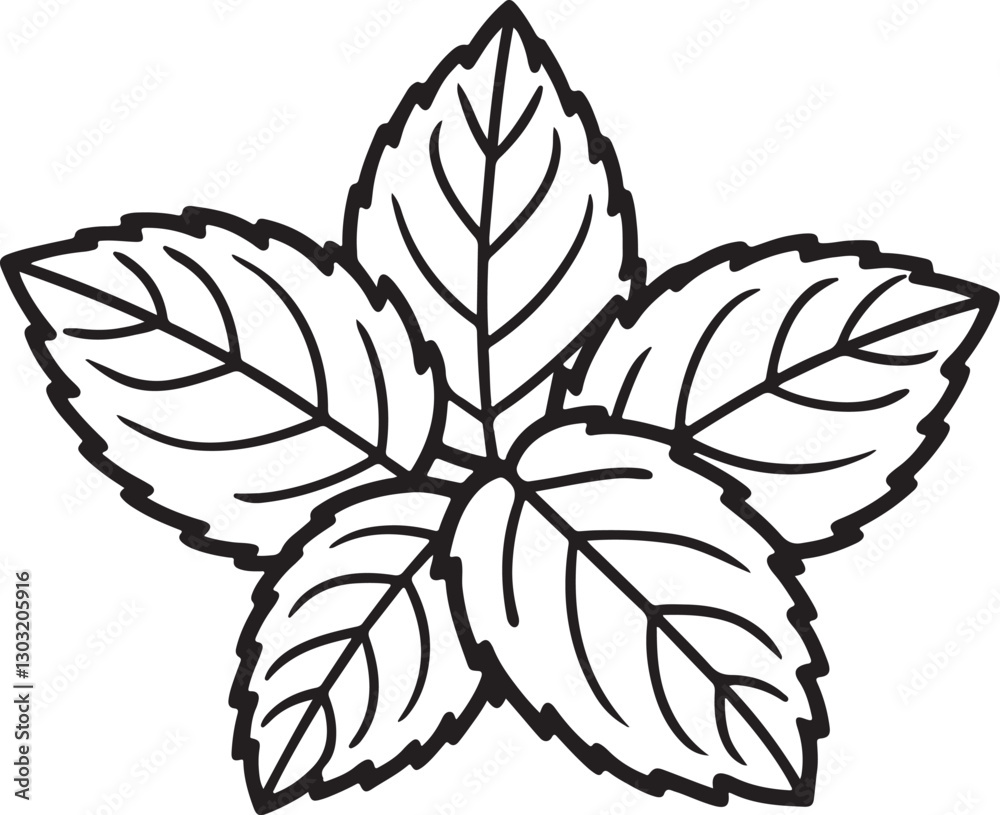 Obraz premium mint leaves line art, black outline, vector and illustration, coloring book page line art drawing